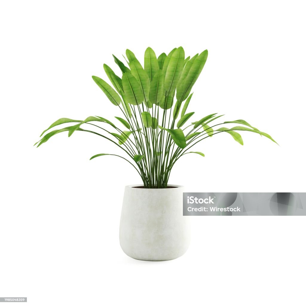 A 3D rendering of a potted plant on a white background